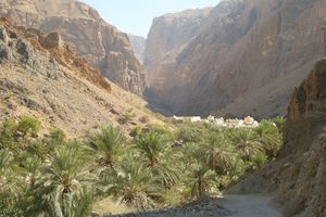 The village and the palm grove of As Suwayh, at the entrance of the Wadi al Arbiyeen canyon.