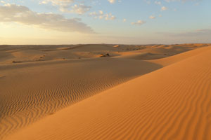 The dunes of the Wahiba desert.