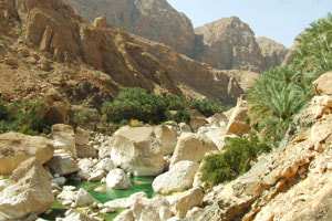 Vasque naturelle entre des rochers, au pied d'une palmeraie, dans le Wadi Tiwi.