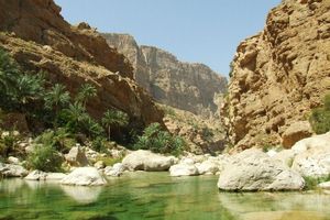 A large pool in the Wadi Tiwi.